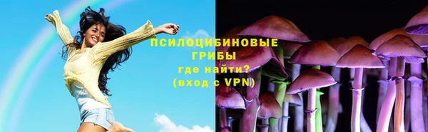 стаф Домодедово
