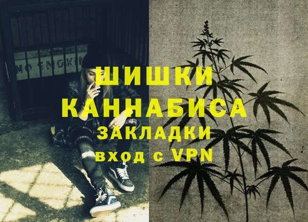 прущая мука Верея