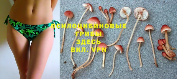 прущая мука Верея