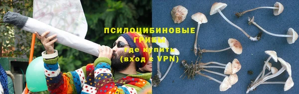 прущая мука Верея