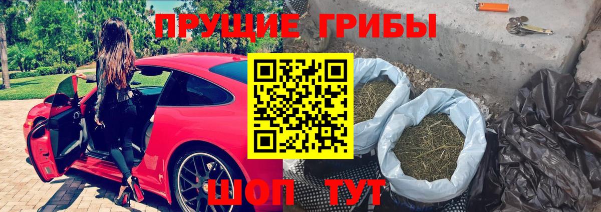 Галлюциногенные грибы MAGIC MUSHROOMS  Псилоцибиновые грибы Psilocybine cubensis  Верхняя Салда  Вход с VPN 