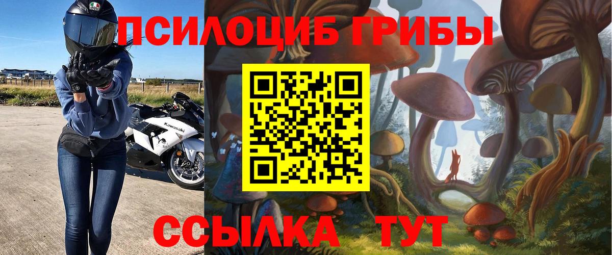 Галлюциногенные грибы MAGIC MUSHROOMS  Верхняя Салда  Галлюциногенные грибы ЛСД 